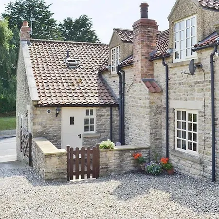 Chestnut 3* Ebberston